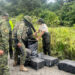 El presidente Daniel Noboa ya puede disponer que la Policía se subordine a las Fuerzas Armadas